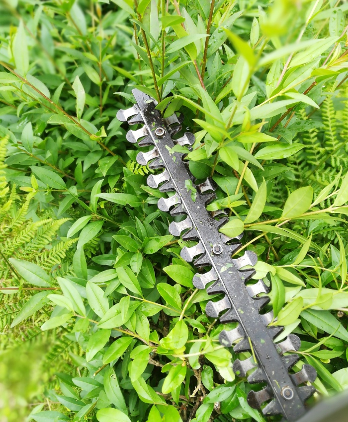 Taille de haie mécanique