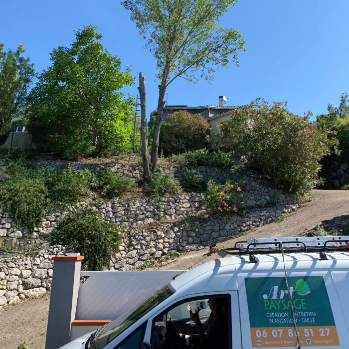 Intervention d’élagage sur arbre en hauteur